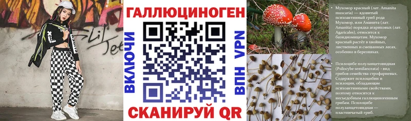 Псилоцибиновые грибы Cubensis  блэк спрут вход  Осташков 
